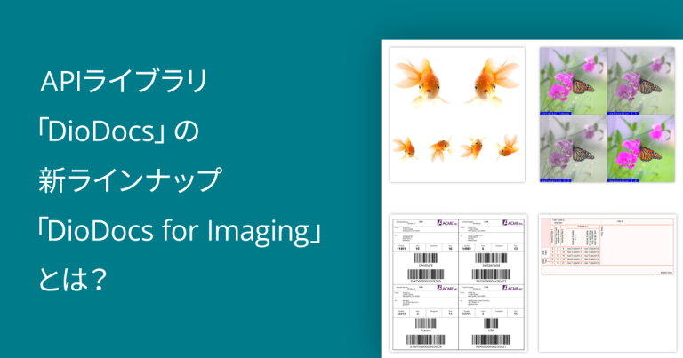 APIライブラリ「DioDocs」の新ラインナップ「DioDocs for Imaging」とは？