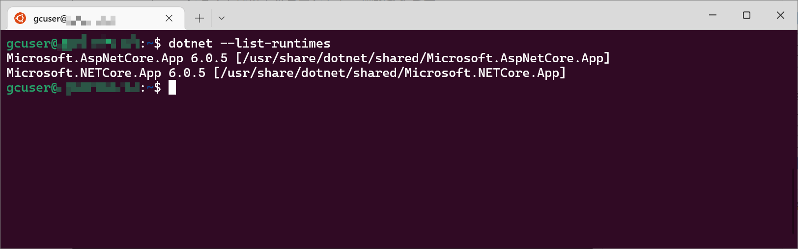 .NET 6のランタイム