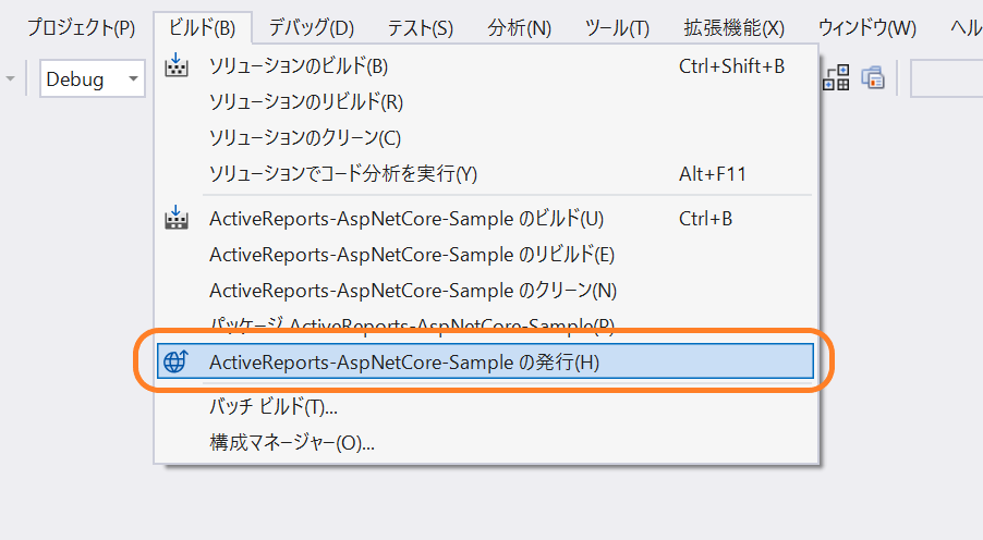 アプリケーションの発行