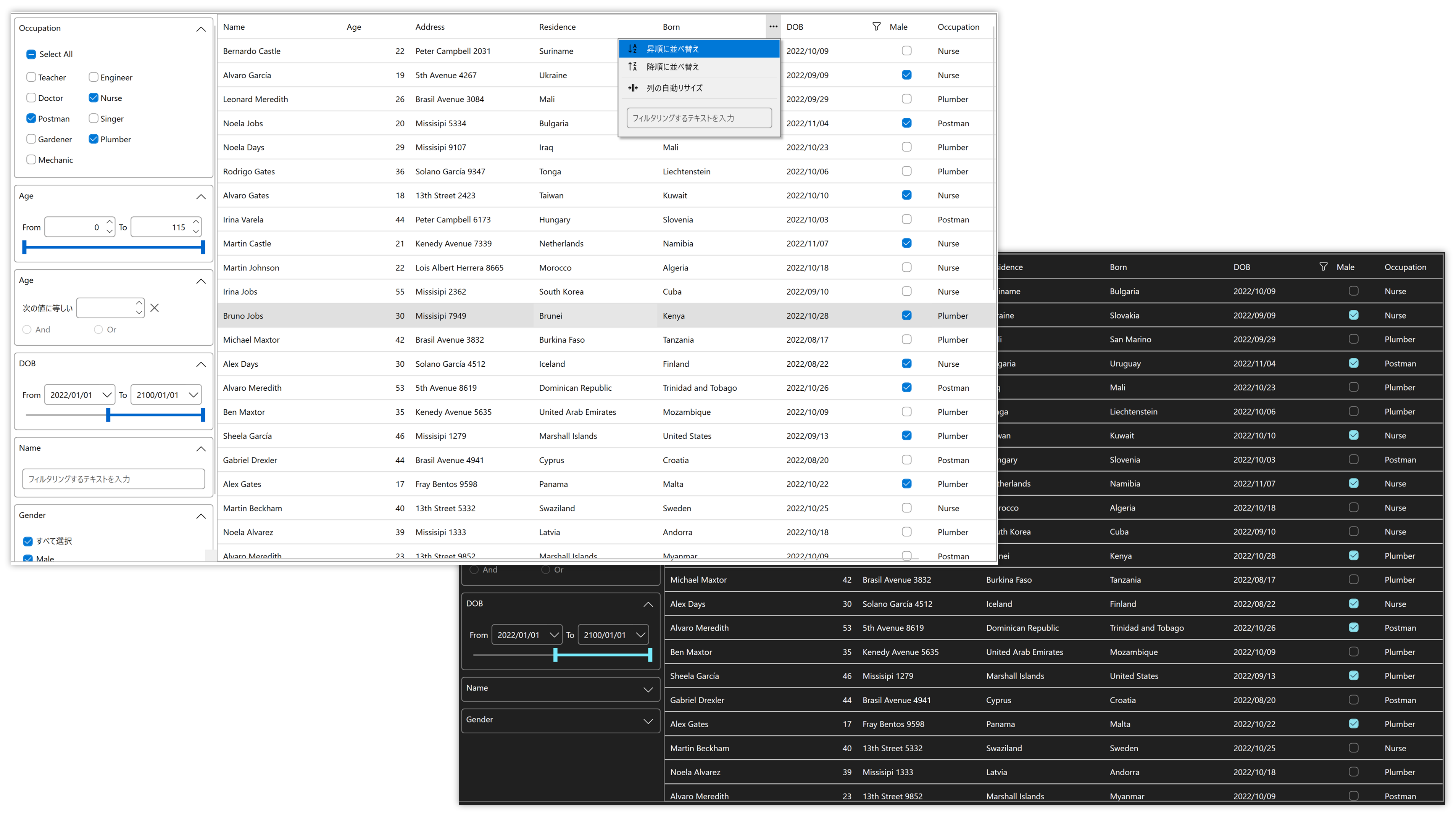 .NET 6対応テーマの追加(WPF)