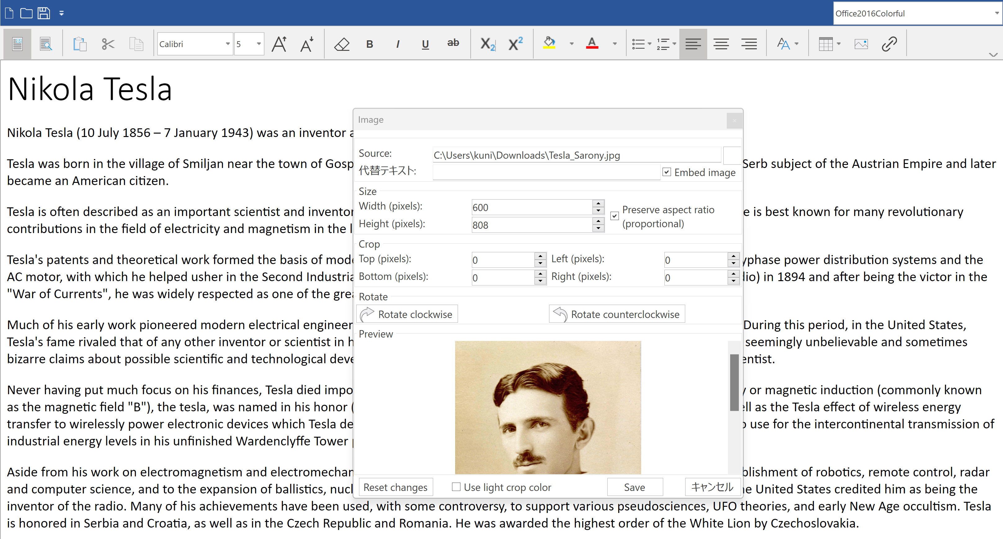 Editorの強化（Windows Forms）
