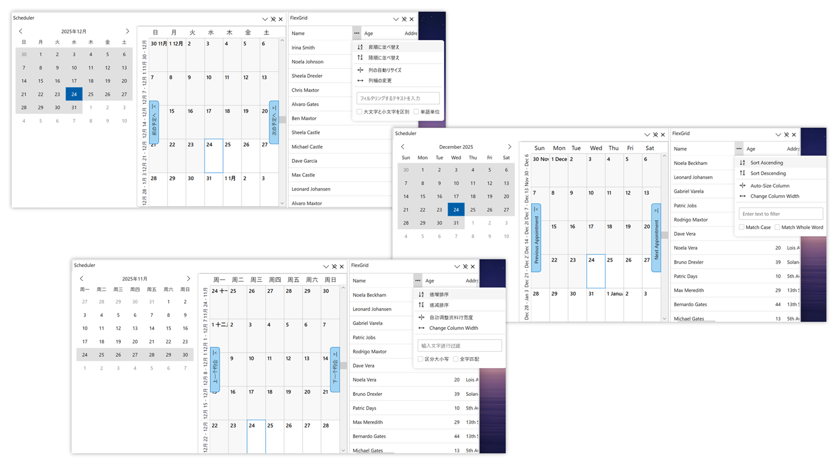 ローカリゼーション機能の強化(Windows Forms、WPF)