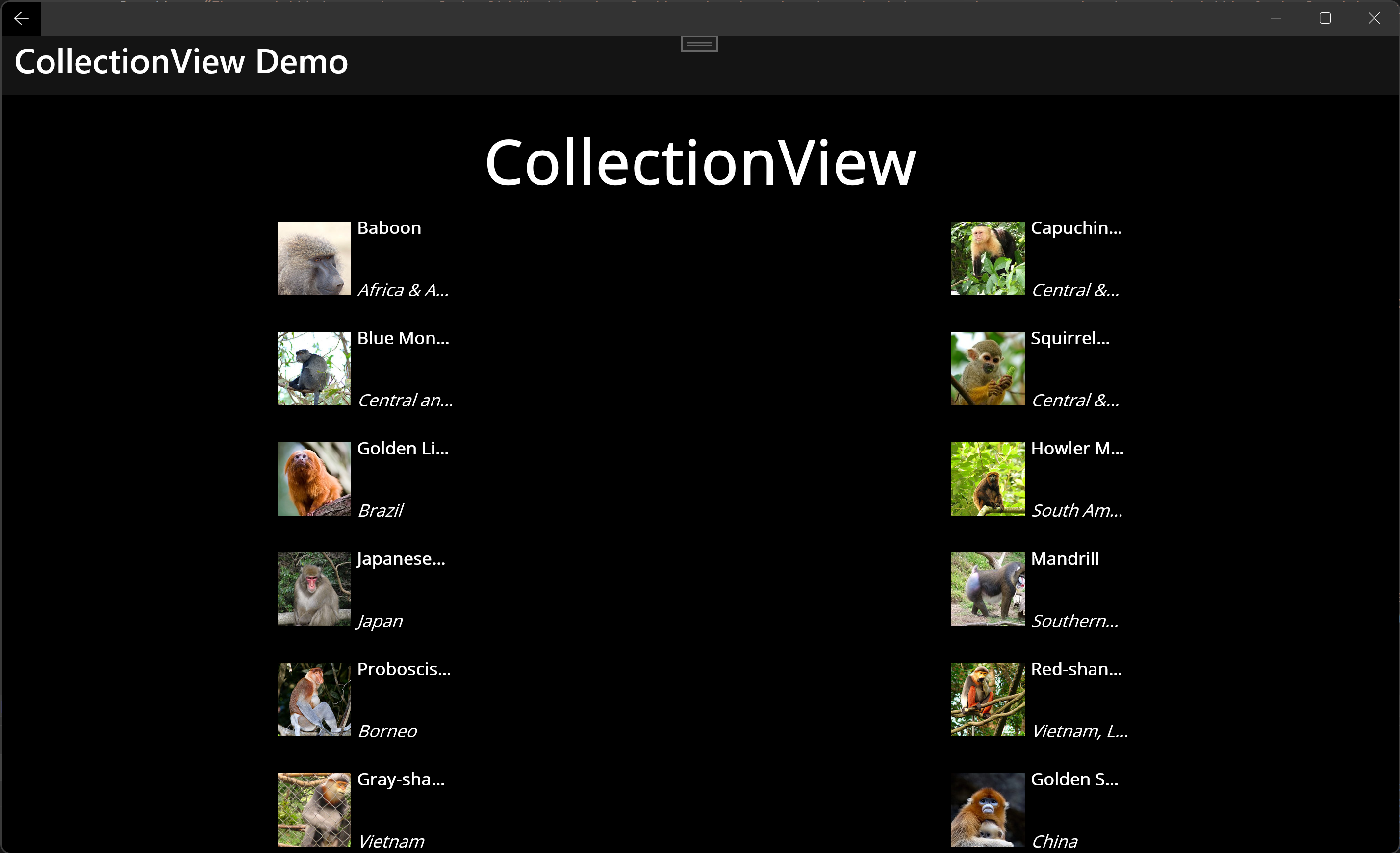 .NET MAUI Control Gallery