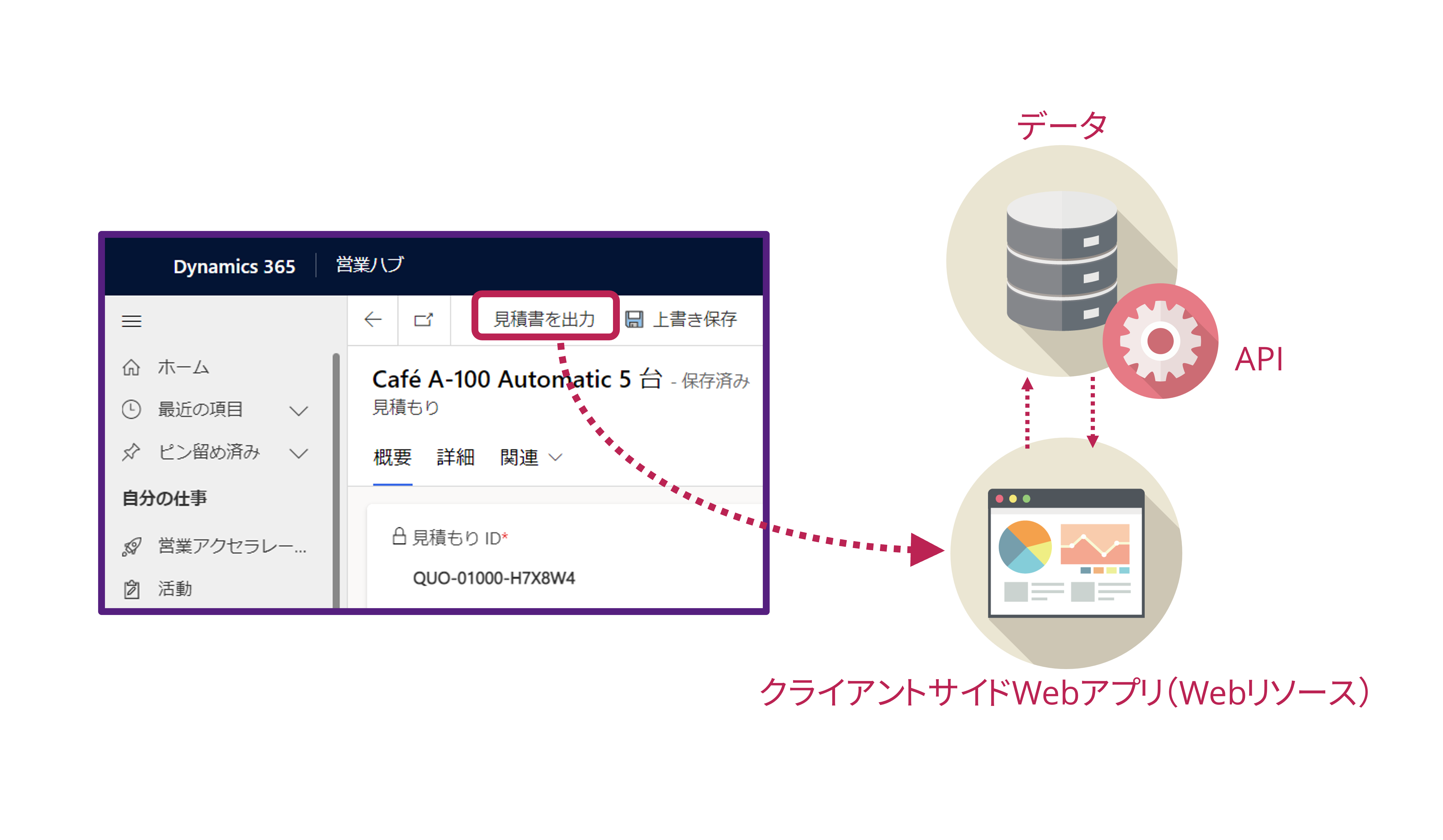 サンプル概要