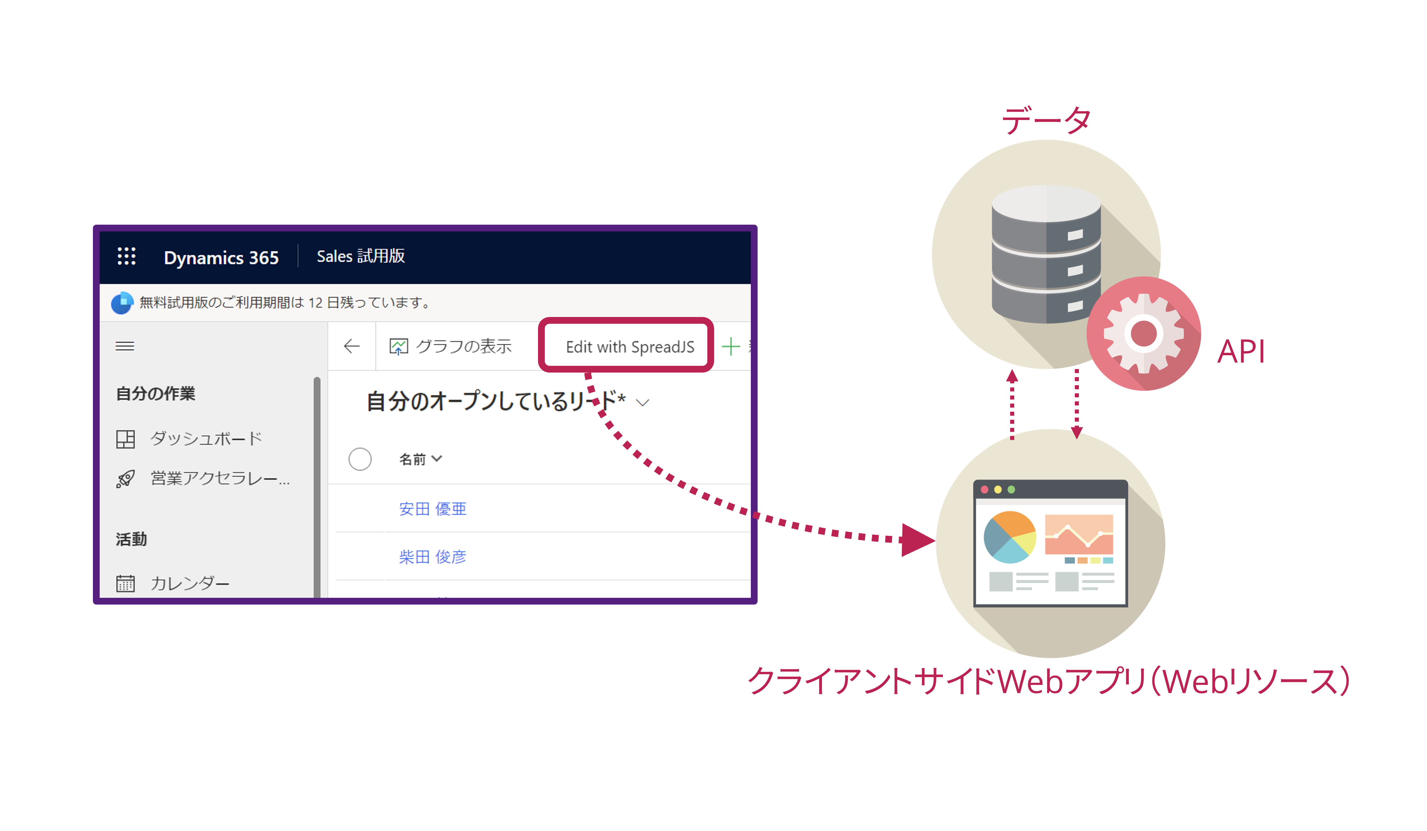 サンプル概要