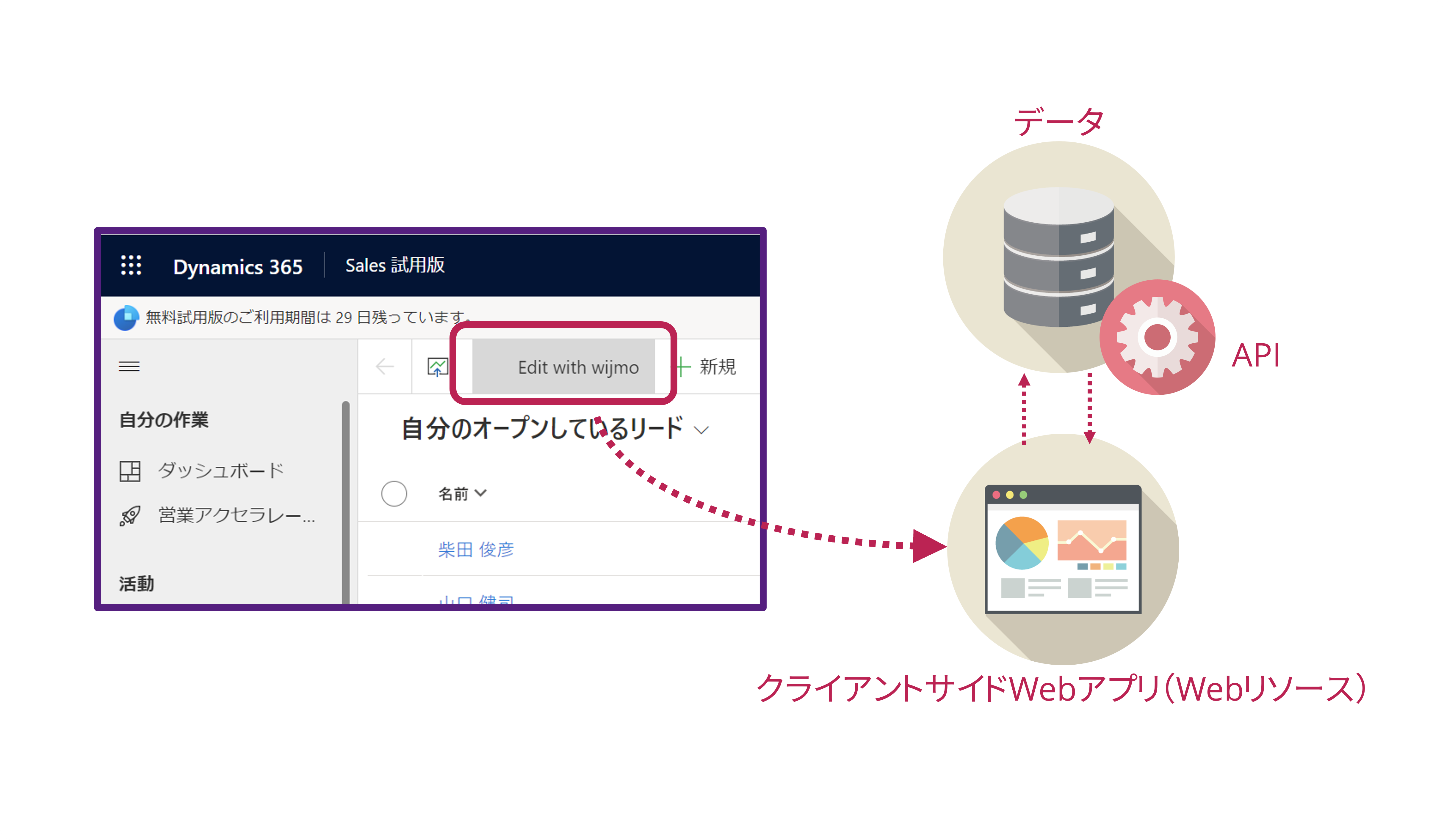 サンプル概要