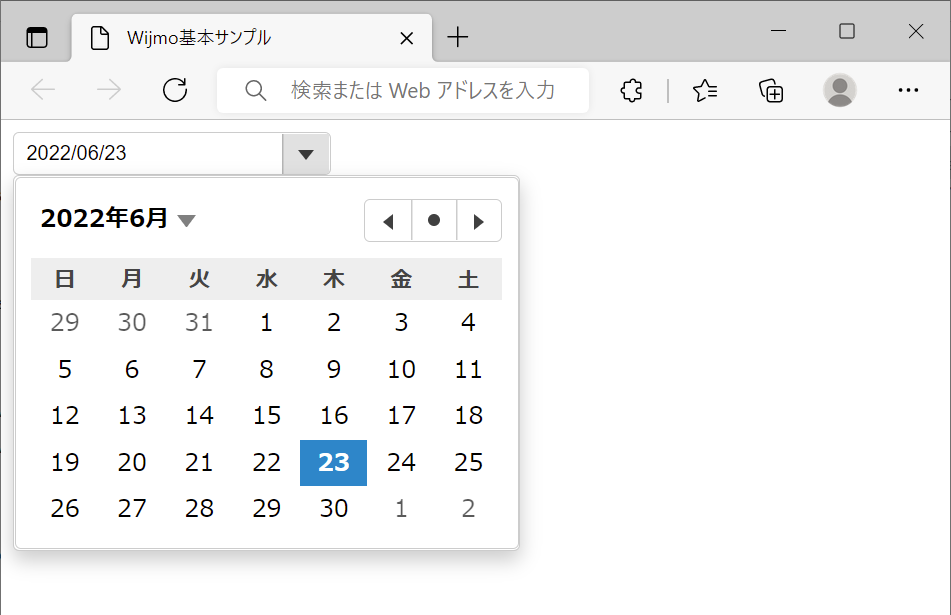 日付入力コントロールを表示