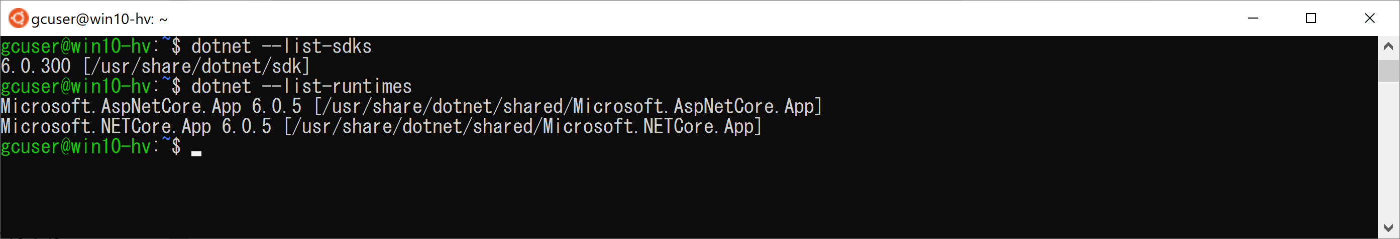 .NET SDKのインストール確認
