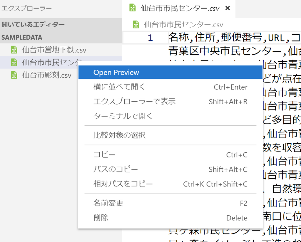 Open Preview